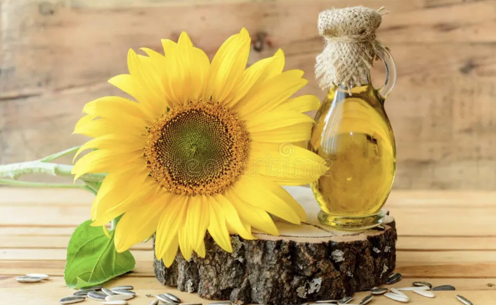 Sunflower blossom, seeds, and bottle of clear sunflower oil on wood slab